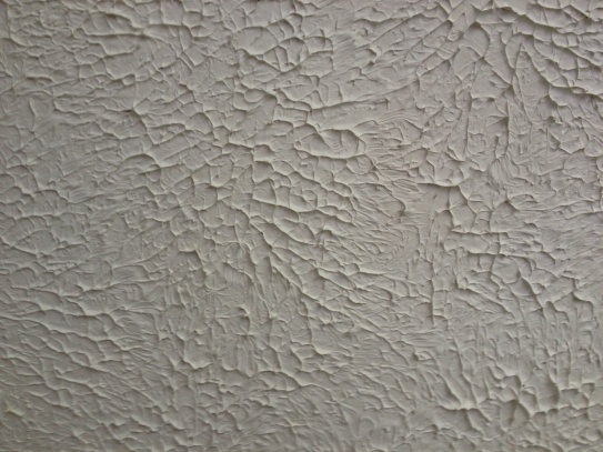 Capital Region Textured Ceilings logo